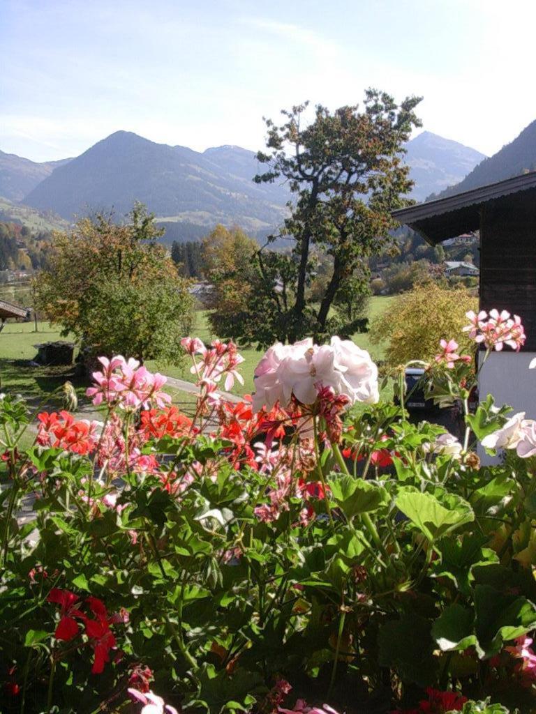 Malernhof Bed and Breakfast Κίτσμπουελ Εξωτερικό φωτογραφία